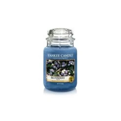 BLUEBERRY GRANDE JARRE