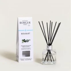 BOUQUET PARFUMÉ EUCALYPTUS