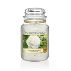 CAMELLIA BLOSSOM CLASSIC LARGE JAR
