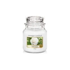 CAMELLIA BLOSSOM CLASSIC MEDIUM JAR
