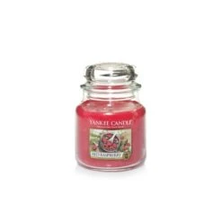 FRAMBOISE ROUGE JARRE MOYEN MODELE