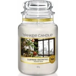 PREMIERE NEIGE JARRE GRAND MODELE