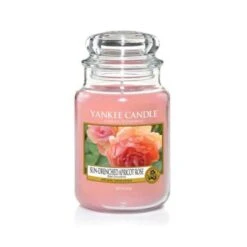 ROSE SUCCULENTE JARRE GRAND MODELE