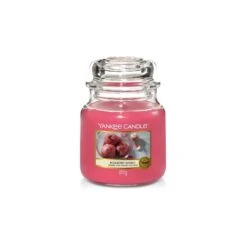 ROSEBERRY SORBET CLASSIC MEDIUM JAR