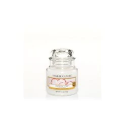 SNOW IN LOVE PETITE JARRE