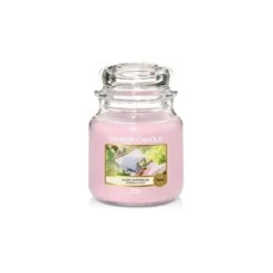 SUNNY DAYDREAM CLASSIC MEDIUM JAR