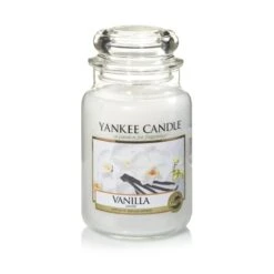 VANILLE JARRE GRAND MODELE
